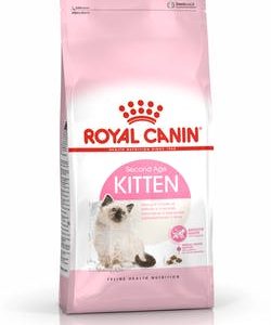 Royal canin Kitten Dry Food