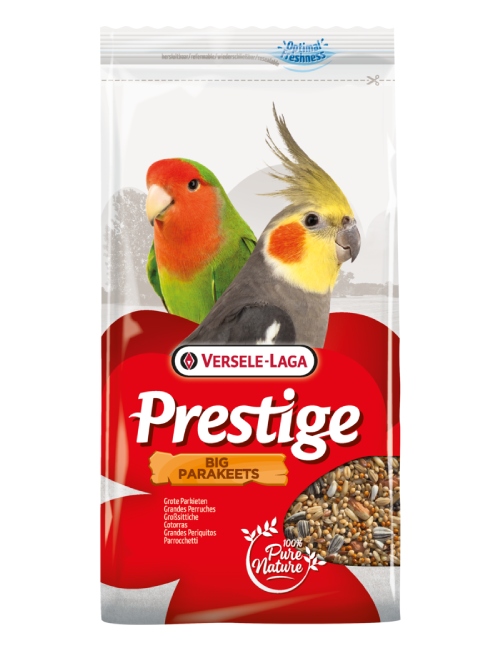 Prestige Big Parakeets