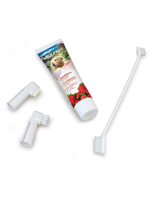 Arquivet Dental Kit For Dogs Strawberry Flavour